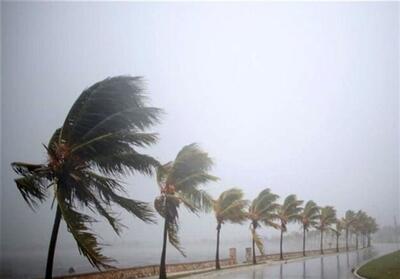 باران شدید بوشهر خسارت به مزارع گوجه‌فرنگی و زیرساخت‌های برق وارد کرد - تسنیم