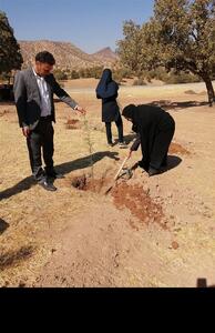 دهمین پویش درختکاری یلدا در پارک حدیله بهاباد برگزار شد - تسنیم