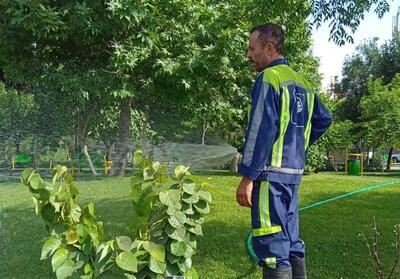 آبیاری 60 درصد از فضای سبز مشهد با پساب شهری - تسنیم