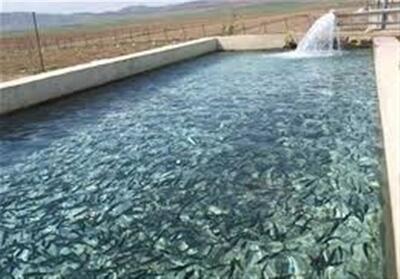 پیش‌بینی افزایش 20 هزار تنی تولید شیلات در لرستان - تسنیم