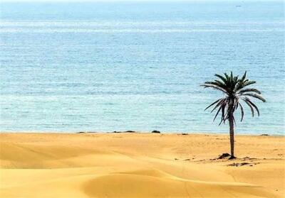 راهنمای سفر به شهرهای جنوبی در فصل خنک؛ پرواز، اقامت و دیدنی‌ها - تسنیم