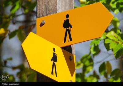 یک سال بلاتکلیفی؛ مدیریت ورزش سنندج قربانی وعده‌های بی‌سرانجام؟ - تسنیم