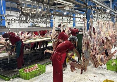 استانِ تولید، سفره‌های گران؛ چرا مرغ و گوشت در کردستان ارزان نمی‌شود؟ - تسنیم