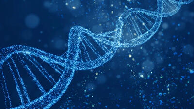  نقشه‌های ۴ بعدی ژنوم حرکت ژن‌ها در زمان تقسیم سلولی را نشان می‌دهند