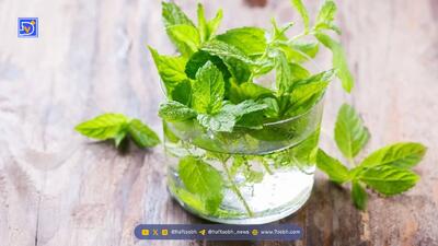  مشکلات گوارشی را با این نوشیدنی ساده از بین ببرید