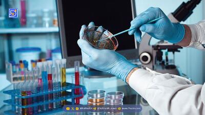  بدبوترین ماده جهان / بوی نامطبوعش انسان را بی‌هوش می‌کند