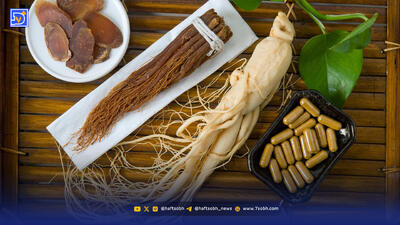 جینسینگ؛ ریشه‌ای گران و پرطرفدار