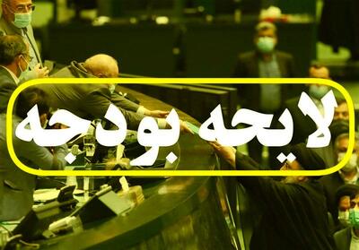  جزئیات بودجه 1405| سقف وام اشتغال خرد ثابت ماند