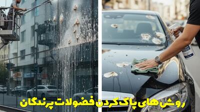  انواع روش های پاک کردن فضولات پرندگان از روی اتومبیل و نمای ساختمان