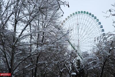  حال و هوای برفی مشهد + گزارش تصویری