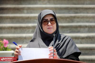 سخنگوی دولت: ظرفیت تولید انرژی خورشیدی کشور تا دهه فجر به ۱۱ هزار مگاوات افزایش می یابد