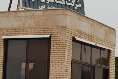 کاهش محسوس هزینه برق در هامون نایزه؛ افت بیش از ۳ درصدی بهای تمام‌شده در راه