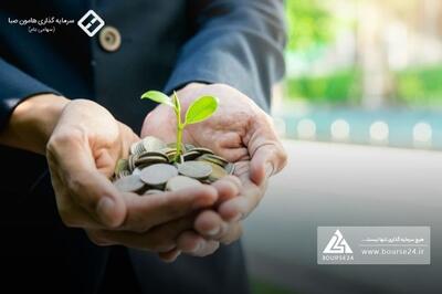 چراغ سبز سازمان بورس به افزایش سرمایه ۵۰ درصدی «وهامون»