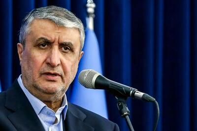 اسلامی: نشست شورای امنیت غیرحرفه‌ای و غیرحقوقی بود / گروسی در نقشه دشمن ایفای نقش می‌کند