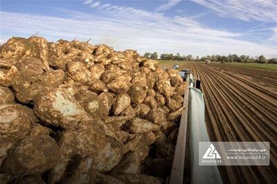 توضیحات «قنقش» در خصوص عملکرد