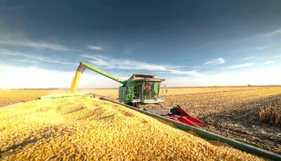 ریشه فشار ارزی در کجای کشاورزی است؟