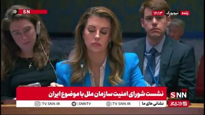  پاسخ صریح «ایروانی» به درخواست نماینده آمریکا در شورای امنیت + فیلم