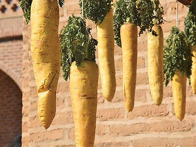 ثبت دو رویداد گردشگری اردکان در تقویم رسمی گردشگری کشور