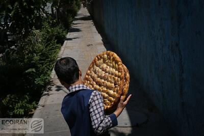 دولت این یارانه‌ها را افزایش داد+ جزئیات