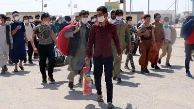 انهدام شبکه انتقال اتباع غیرمجاز و طرد ۷۰۰۰ نفر در کرمان