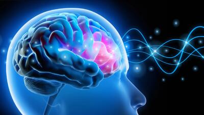 ایجاد یک تغییر در مغز می‌تواند حافظه را بیش از ۲۰۰ درصد تقویت کند - گیمفا