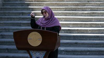 سخنگوی دولت: ظرفیت تولید انرژی خورشیدی ۱۱ هزار مگاوات می شود