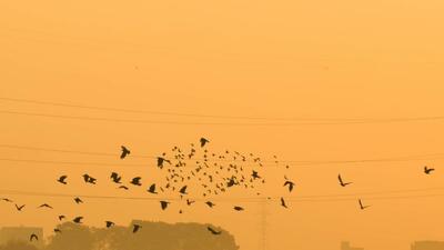  گزارش تصویری/ پایتخت زیر ابری از دود