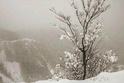 ماهواره‌های اروپایی: روزهای پربرف ایران در راه است+ عکس | سامانه پرفشار زمستانی در این تاریخ وارد می‌شود