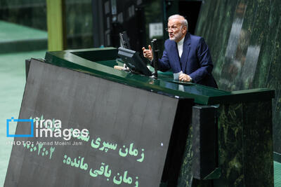 نماینده مجلس:حمایت از دولت را تکلیف شرعی می‌دانیم/ ضرورت چابک سازی دولت