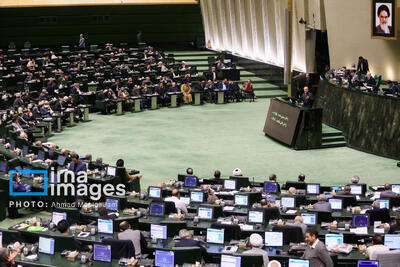 نماینده قائنات: کمبود کالاهای اساسی، نهاده و گرانی برنج همچنان وجود دارد