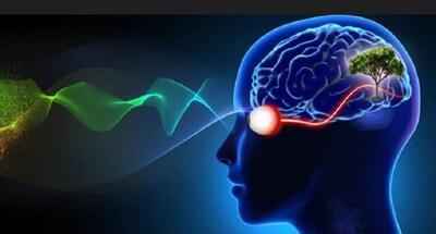 بررسی پژوهشی سازوکارهای مغزی کنترل توجه در بینایی