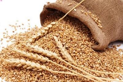  ۸۷ درصد زکات کهگیلویه و بویراحمد مستقیم به چرخه معیشت تزریق می‌شود