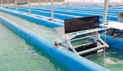  صنعت نوظهوری که می‌تواند امنیت غذایی کشور را تضمین کند