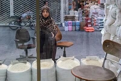 بازار برنج دوباره متلاطم شد؛ توزیع ذخایر دولتی حیاتی شد