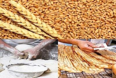  یارانه گندم در بودجه سال آینده ۲۹ همت (ریال جدید) شد