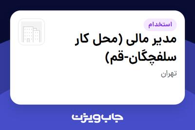  استخدام مدیر مالی (محل کار سلفچگان-قم) - آقا در سازمانی فعال در حوزه تولیدی / صنعتی