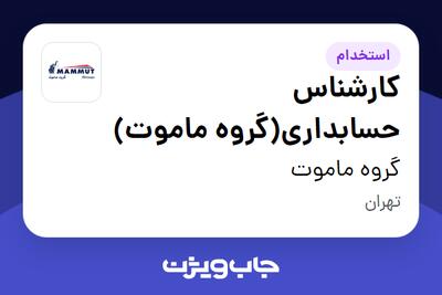 استخدام کارشناس حسابداری(گروه ماموت) در گروه ماموت