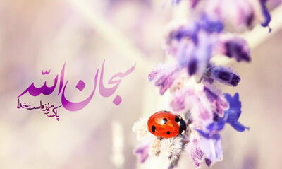  چرا «الله اکبر» معنایی فراتر از «سبحان الله» دارد