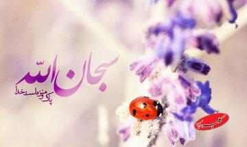  چرا «الله اکبر» معنایی فراتر از «سبحان الله» دارد - کلبه سرگرمی