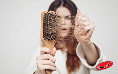  جلوگیری از ریزش مو با این ۷ داروی گیاهی - کلبه سرگرمی