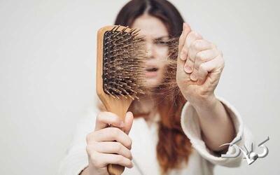 جلوگیری از ریزش مو با این ۷ داروی گیاهی - مجله اینترنتی کولاک