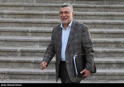 ظفرقندی: سهم ارز دارو افزایش می‌یابد