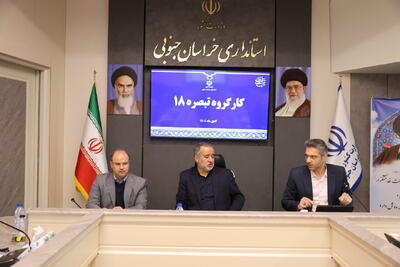  هاشمی: جذب تسهیلات تبصره ۱۸ در خراسان جنوبی به ۸۷.۴ درصد رسید