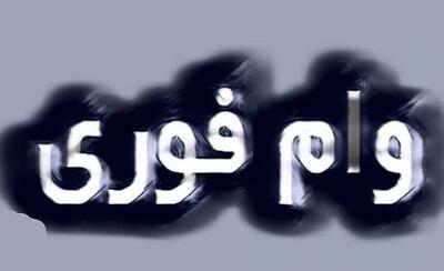  وام فوری یکروزه برای سرپرستان خانوارها