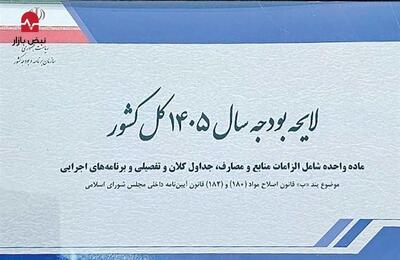 اما و اگر‌های بودجه ۱۴۰۵/ نگاهی به جزئیات بودجه سال آینده