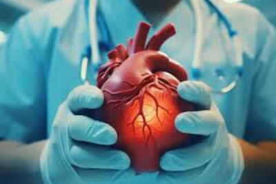 پیوند اعضا و دگرگونی‌های شخصیت