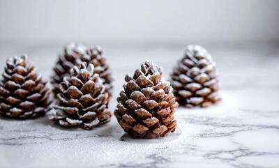  طرز تهیه دسر مخروطی کاج؛ مناسب شب کریسمس