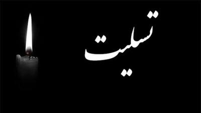 مرگ دلخراش زوج دانشجو دانشگاه تهران و کودکاش در صحنه ای جگرسوز + جزئیات