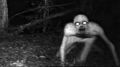  جن واقعیت دارد؟ / نیمه شب روی خودتان سنگینی حس کردید چه کنید + فیلم