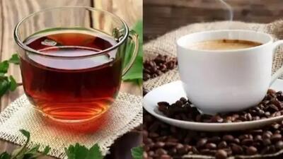  قهوه بهتر است یا چای؟ رازهای تاثیرگذاری این 2 نوشیدنی برای سلامت